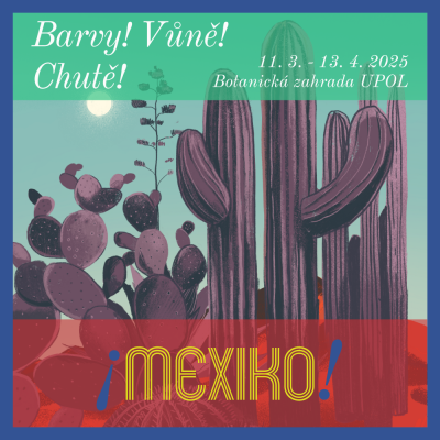 ¡Mexiko! Barvy! Vůně! Chutě!