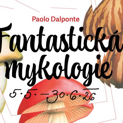 Paolo Dalponte : Fantastická mykologie