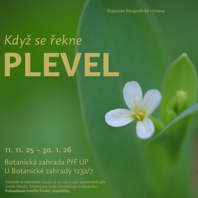 Plevele obrazem i slovem