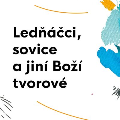 Ledňáčci, sovice a jiní Boží tvorové